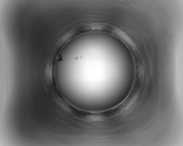 X0000099940537200805231253