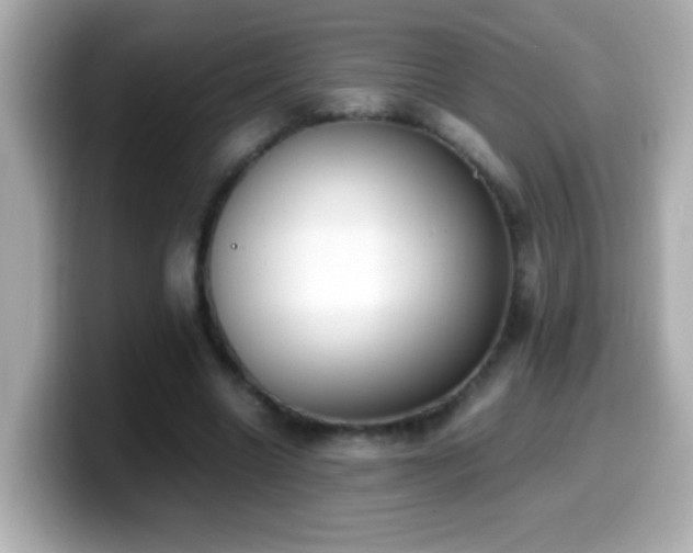 X0000099940538200805231253