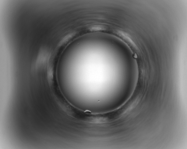 X0000099940539200805231253