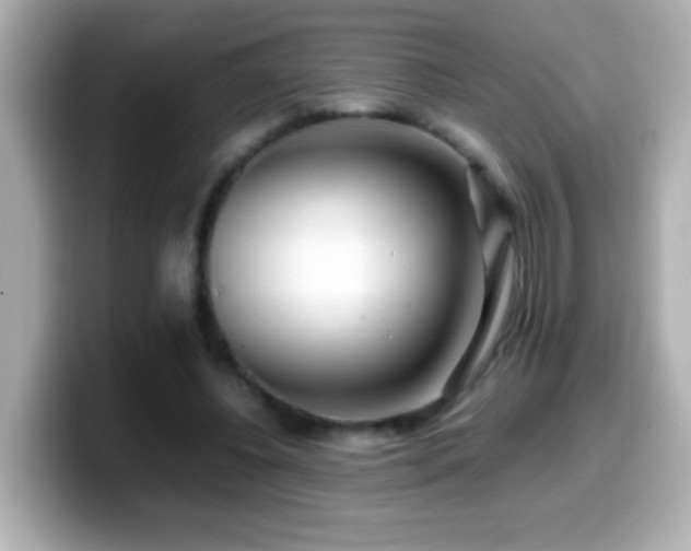 X0000099940540200805231253