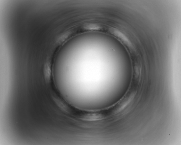 X0000099940541200805231254