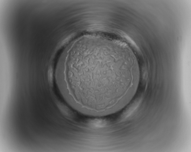 X0000099940542200805231254