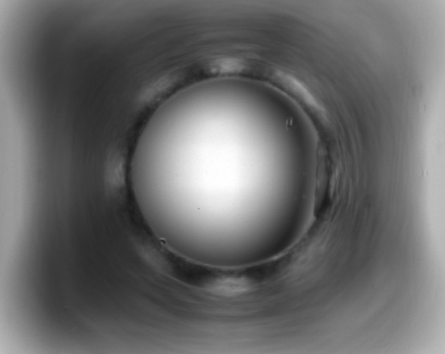 X0000099940543200805231254