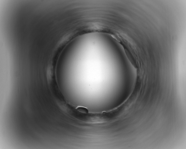 X0000099940544200805231254