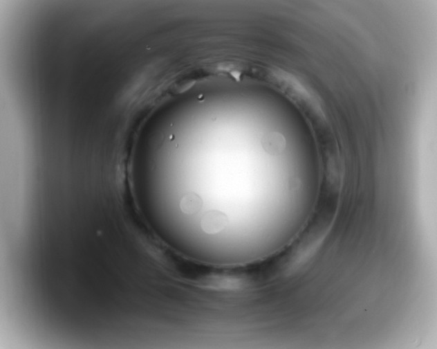 X0000099940545200805231254