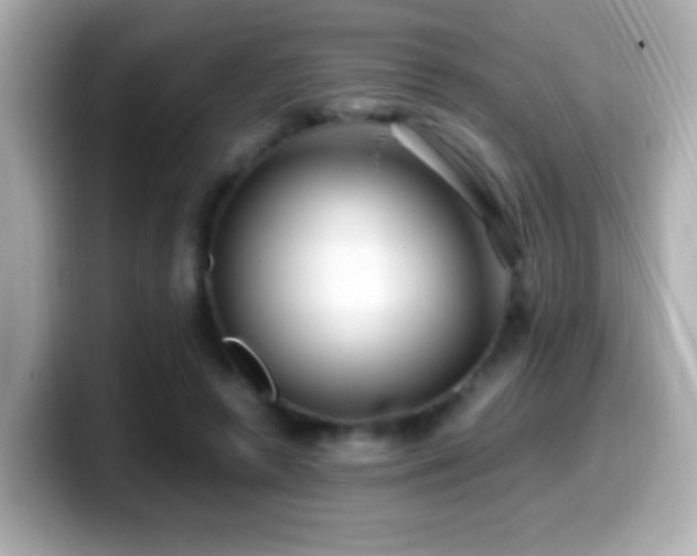 X0000099940546200805231254