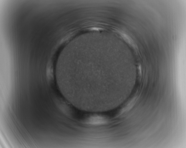 X0000099940547200805231254