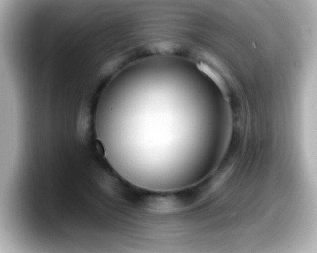X0000099940548200805231254