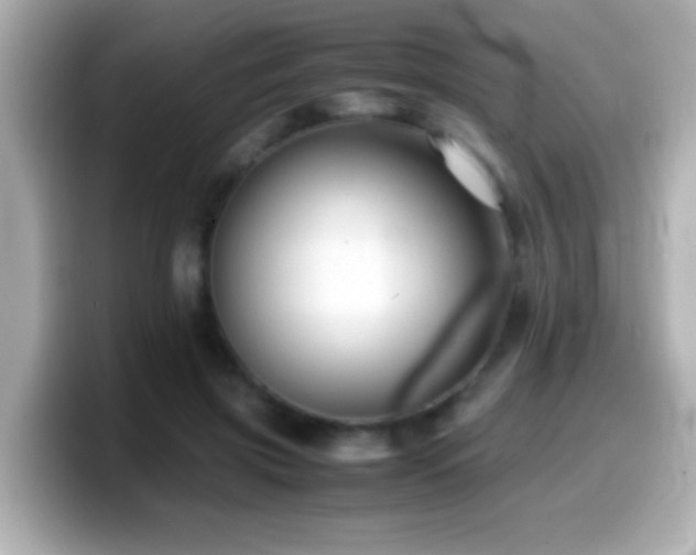 X0000099940549200805231254