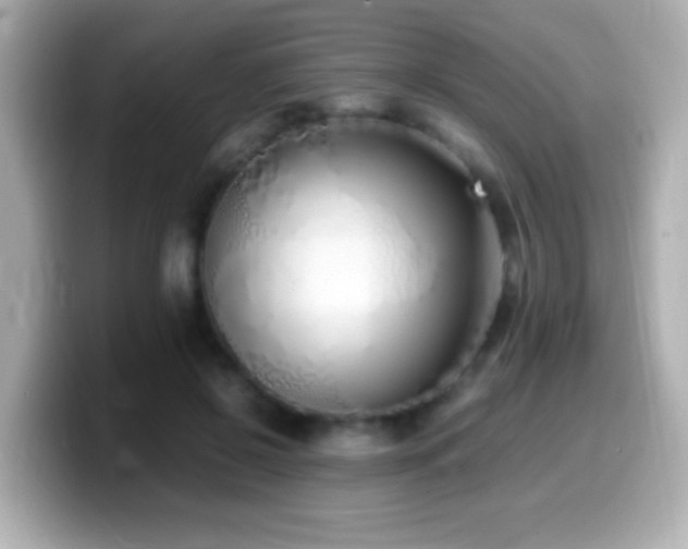 X0000099940550200805231254