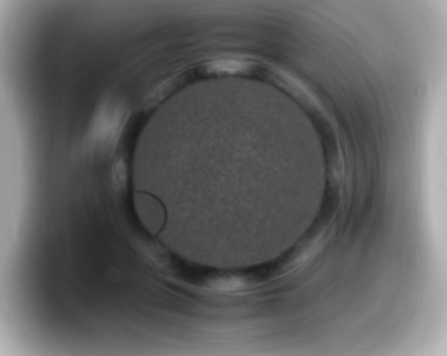 X0000099940551200805231254