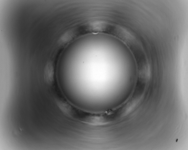 X0000099940552200805231254