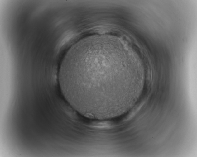X0000099940553200805231254