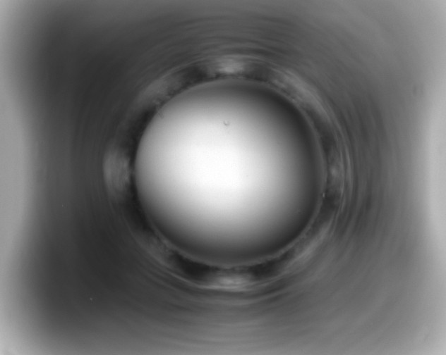 X0000099940555200805231254