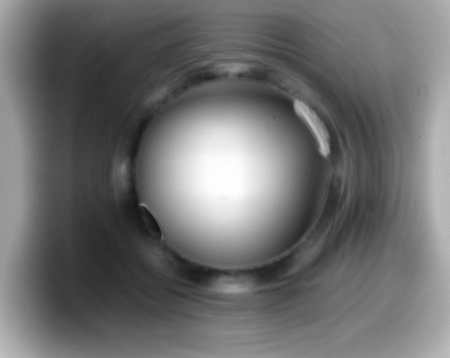 X0000099940556200805231254