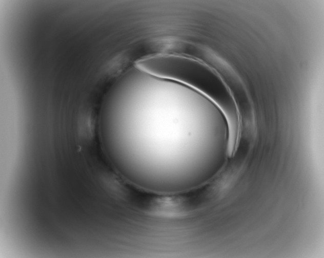 X0000099940558200805231254