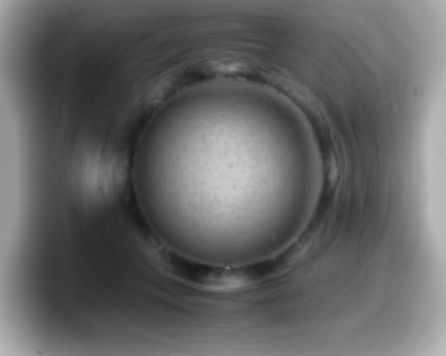 X0000099940559200805231254