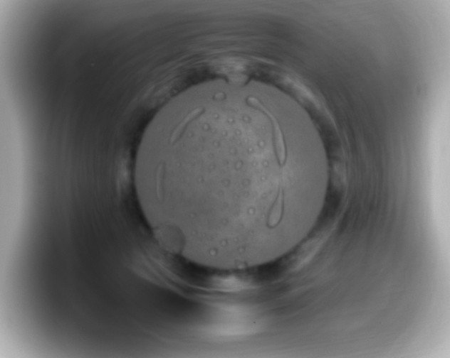 X0000099940561200805231254