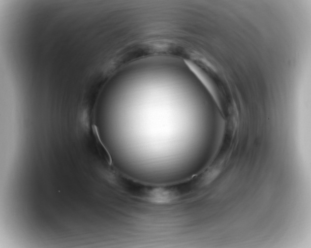 X0000099940562200805231254
