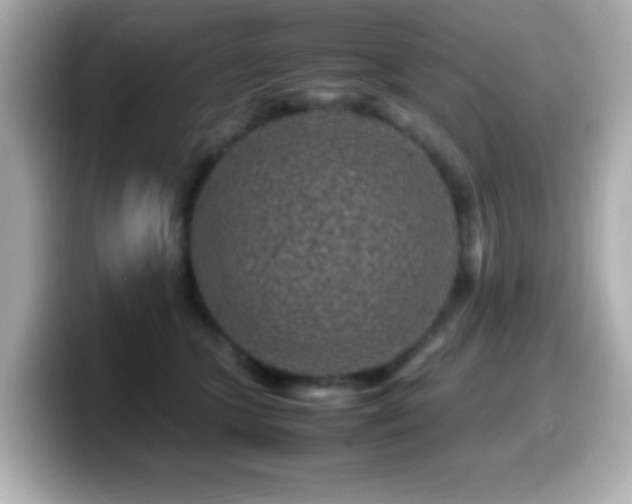 X0000099940563200805231254