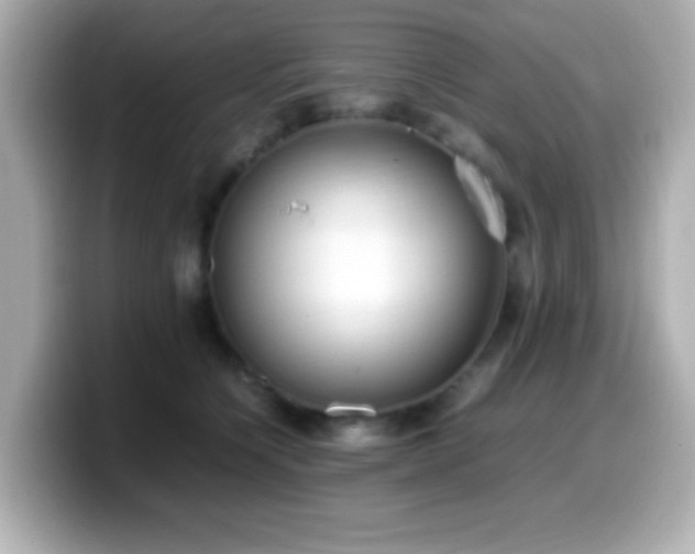 X0000099940564200805231254