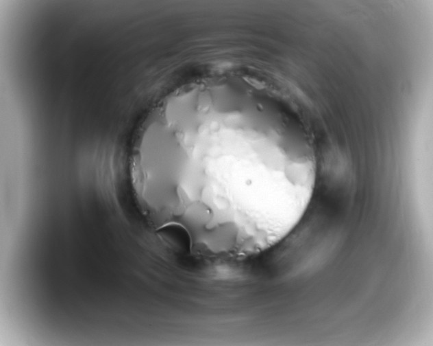 X0000099940565200805231254