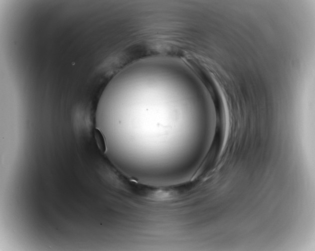 X0000099940566200805231254