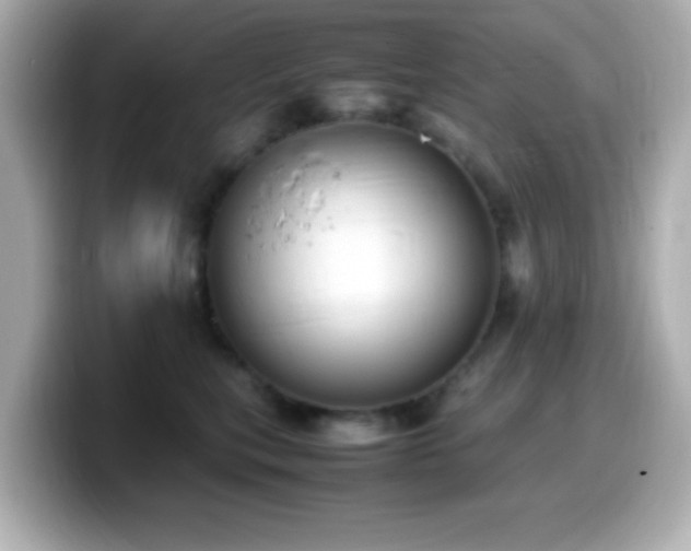 X0000099940567200805231254
