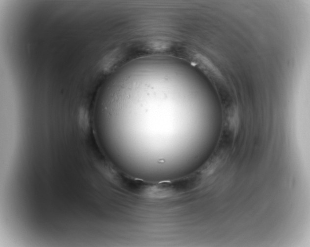 X0000099940568200805231254