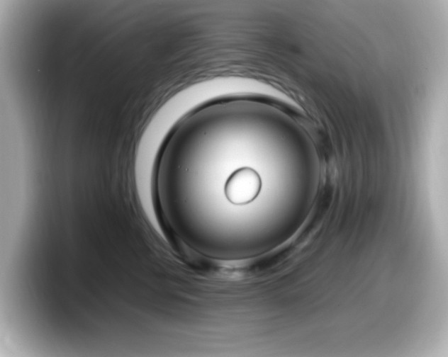 X0000099940570200805231254