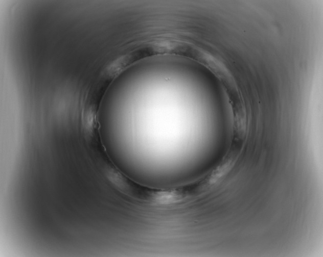 X0000099940574200805231254