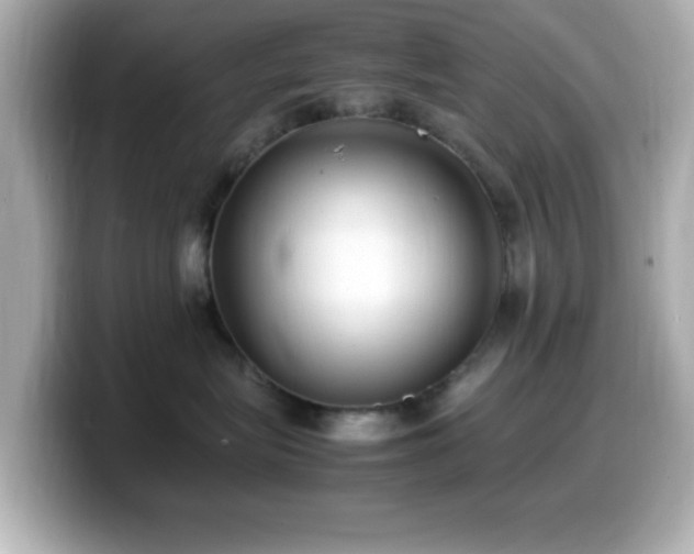 X0000099940575200805231254