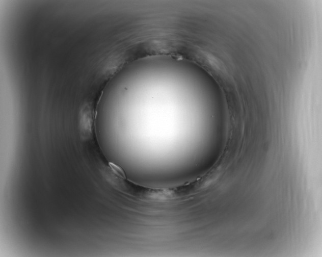 X0000099940576200805231254