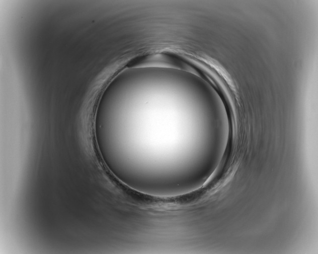 X0000099940577200805231253