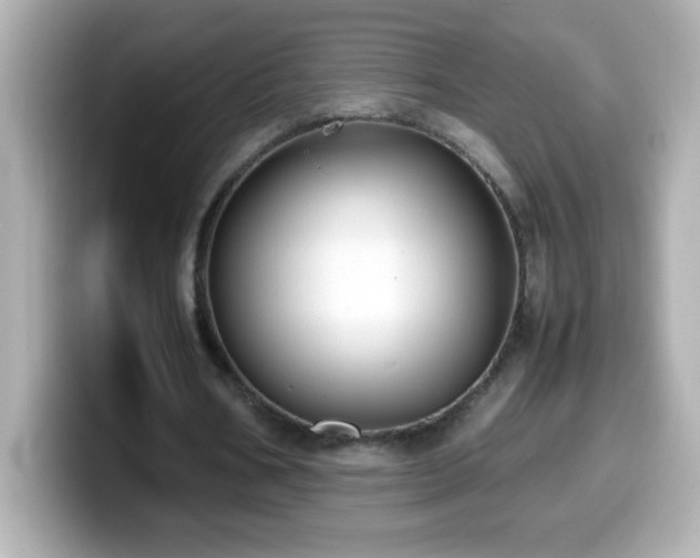 X0000099940578200805231253