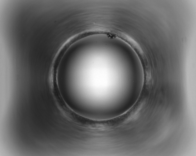 X0000099940580200805231253