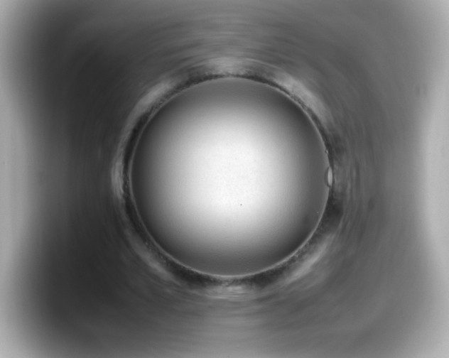X0000099940581200805231253