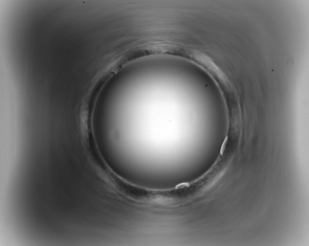 X0000099940585200805231253
