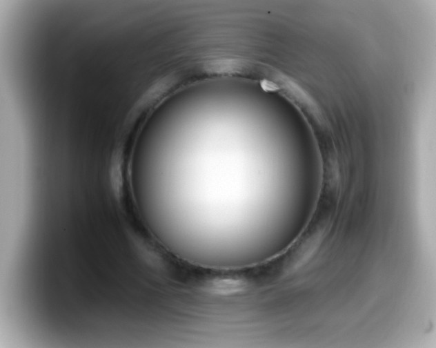 X0000099940586200805231253
