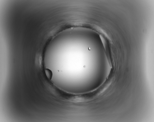 X0000099940589200805231253