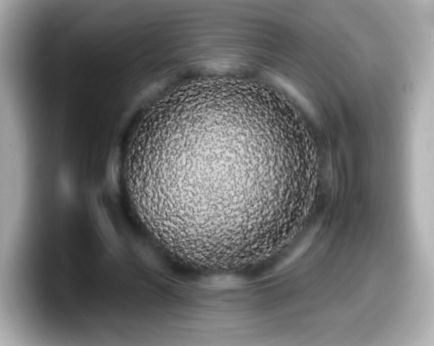 X0000099940590200805231253