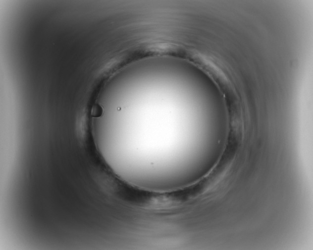 X0000099940591200805231253