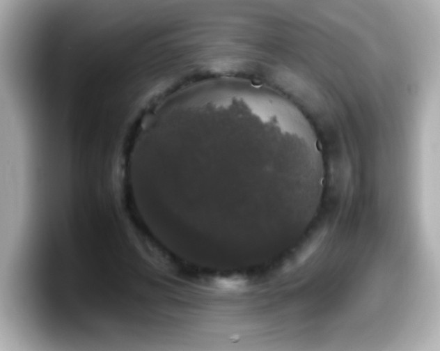 X0000099940592200805231253