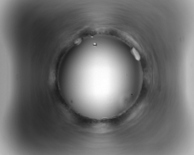 X0000099940593200805231253