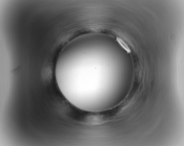 X0000099940595200805231253