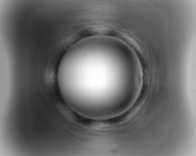 X0000099940597200805231253
