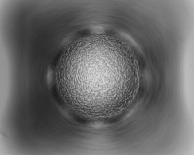 X0000099940598200805231253