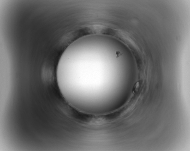 X0000099940599200805231253