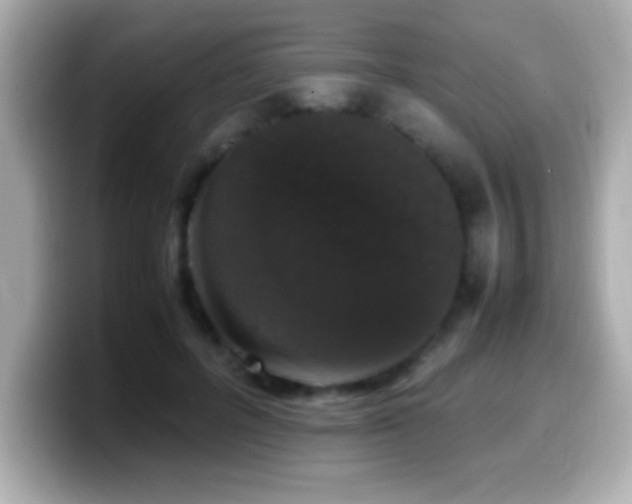 X0000099940600200805231253