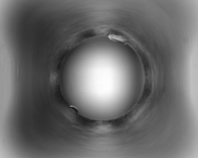 X0000099940601200805231253